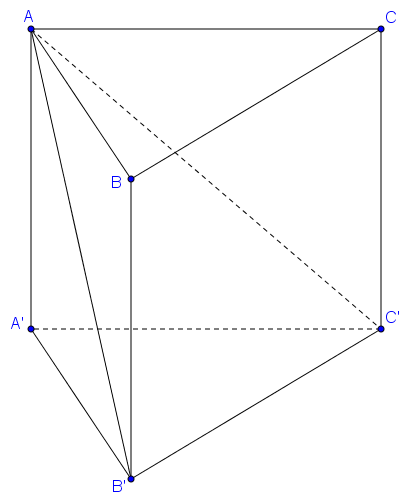 Cho hình lăng trụ đứng (ABC.A'B'C') có đáy (ABC) là tam giác vuông, (AB = BC = 2a). Biết góc giữa hai mặt phẳng (left( {ACC'} right)) và (left( {AB'C'} right)) bằng (60^circ ).</p> 1