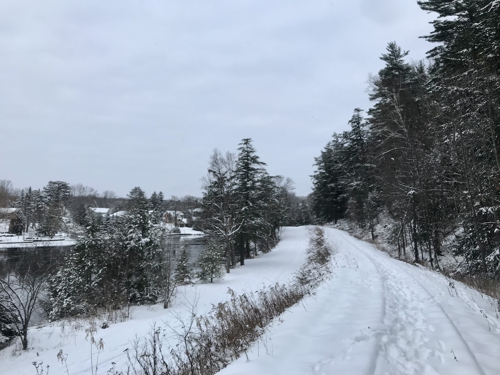 winter hikes muskoka