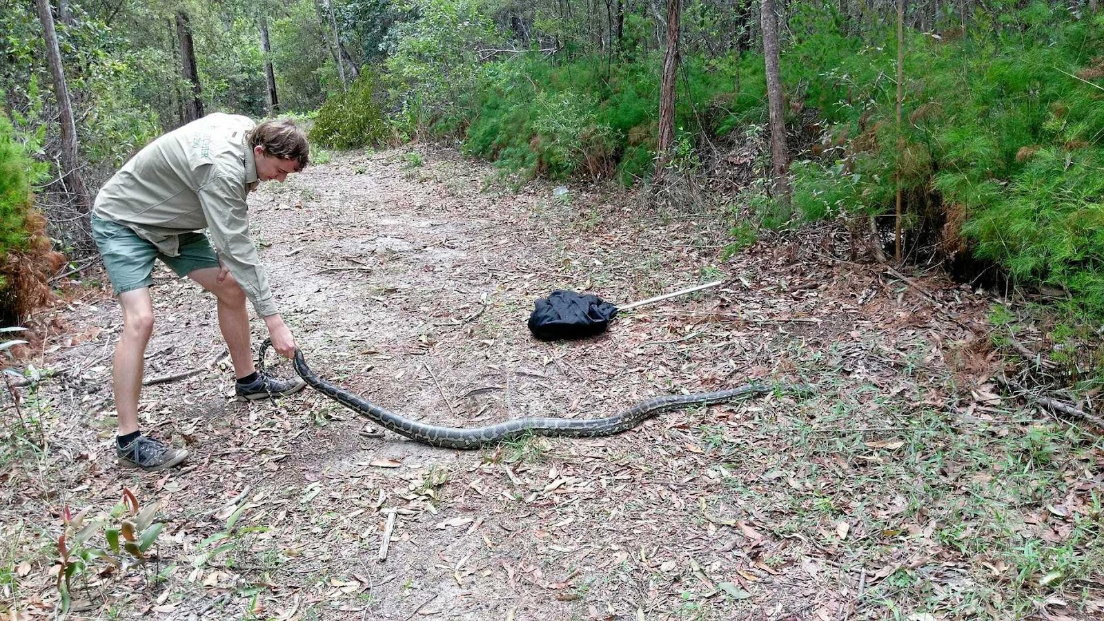 Image result for Luke,, Snake Catch Noosa