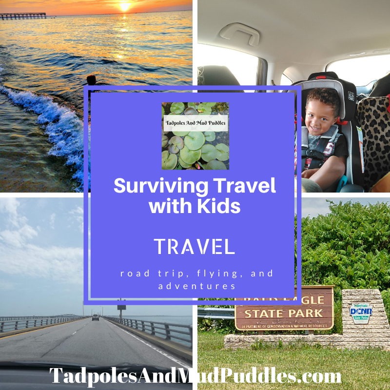 Surviving travel with kids