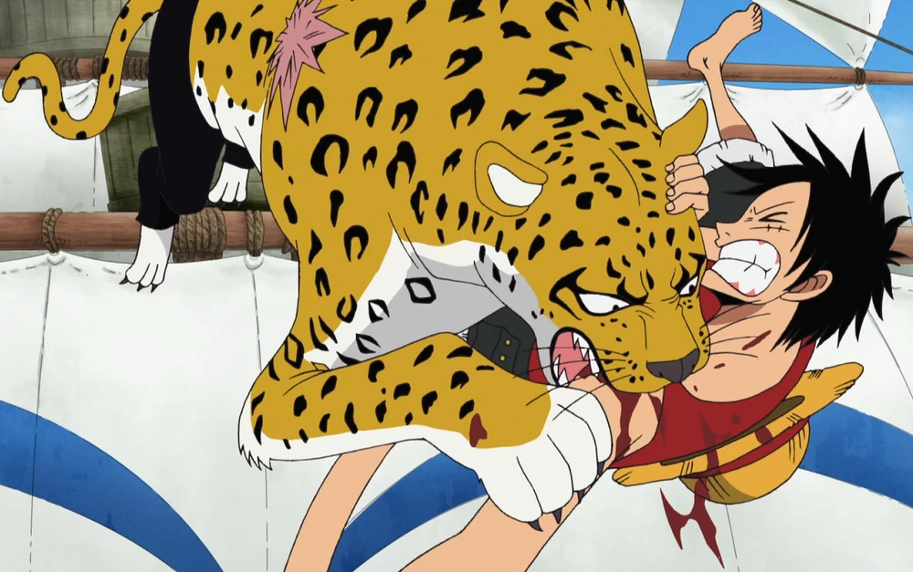 One Of My Kind / One Piece / Leopard