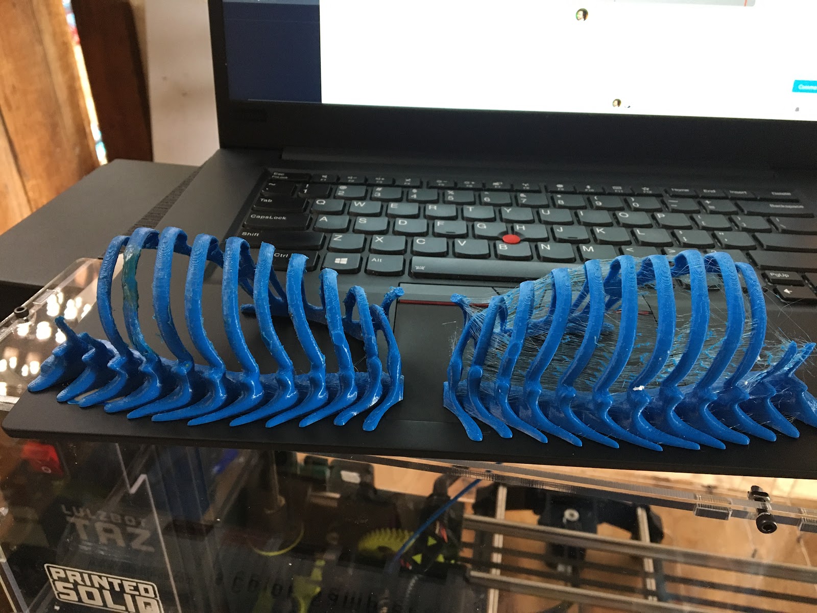 3d printed halves of a ribcage on a desktop.