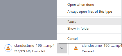 browser pause downloads