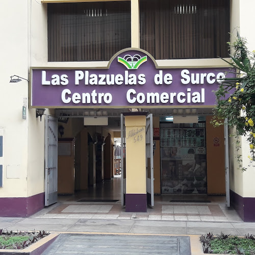 Opiniones de TecSoft Computer Store en Lima - Tienda de informática