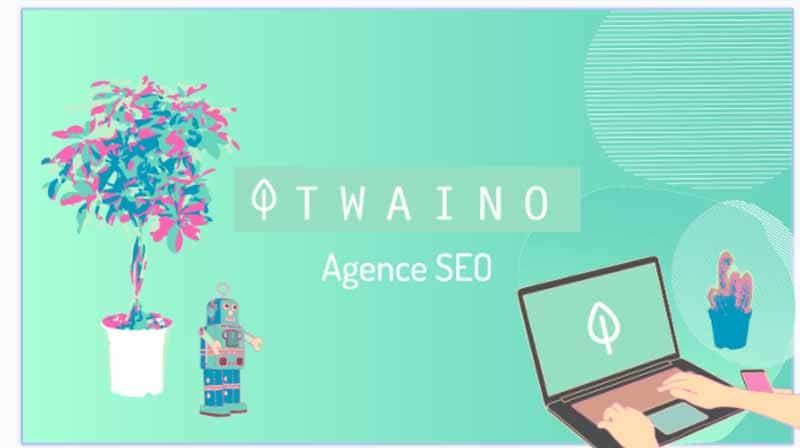 Twaino Agence seo