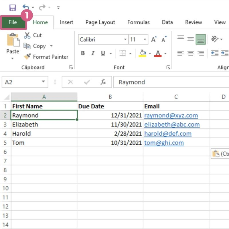Clicking File in the excel sheet