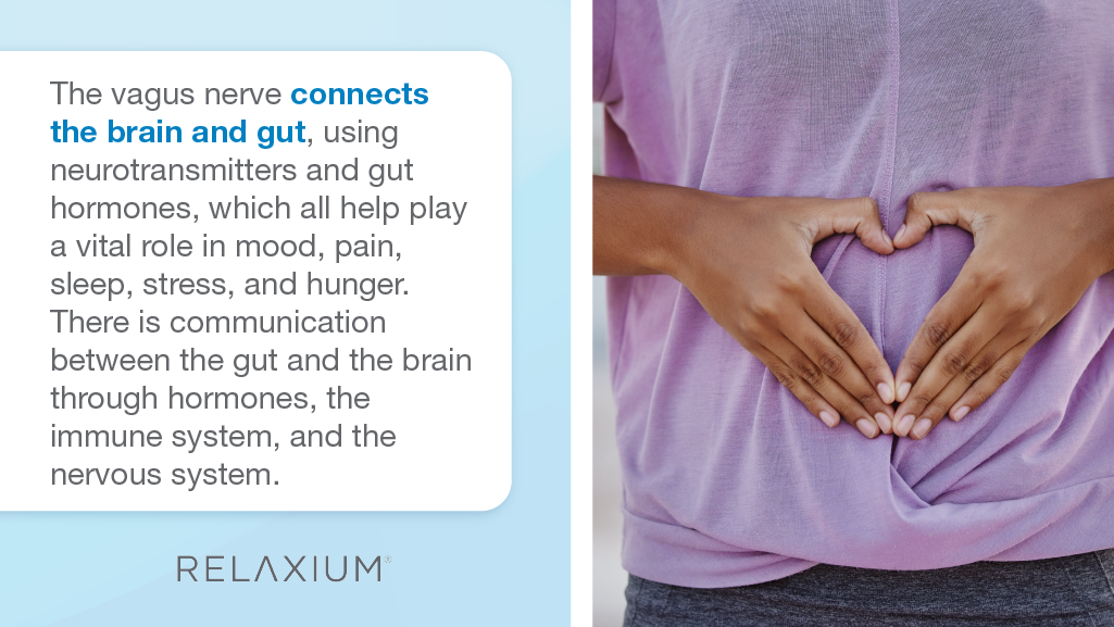 The vagus nerve connects the brain and gut.