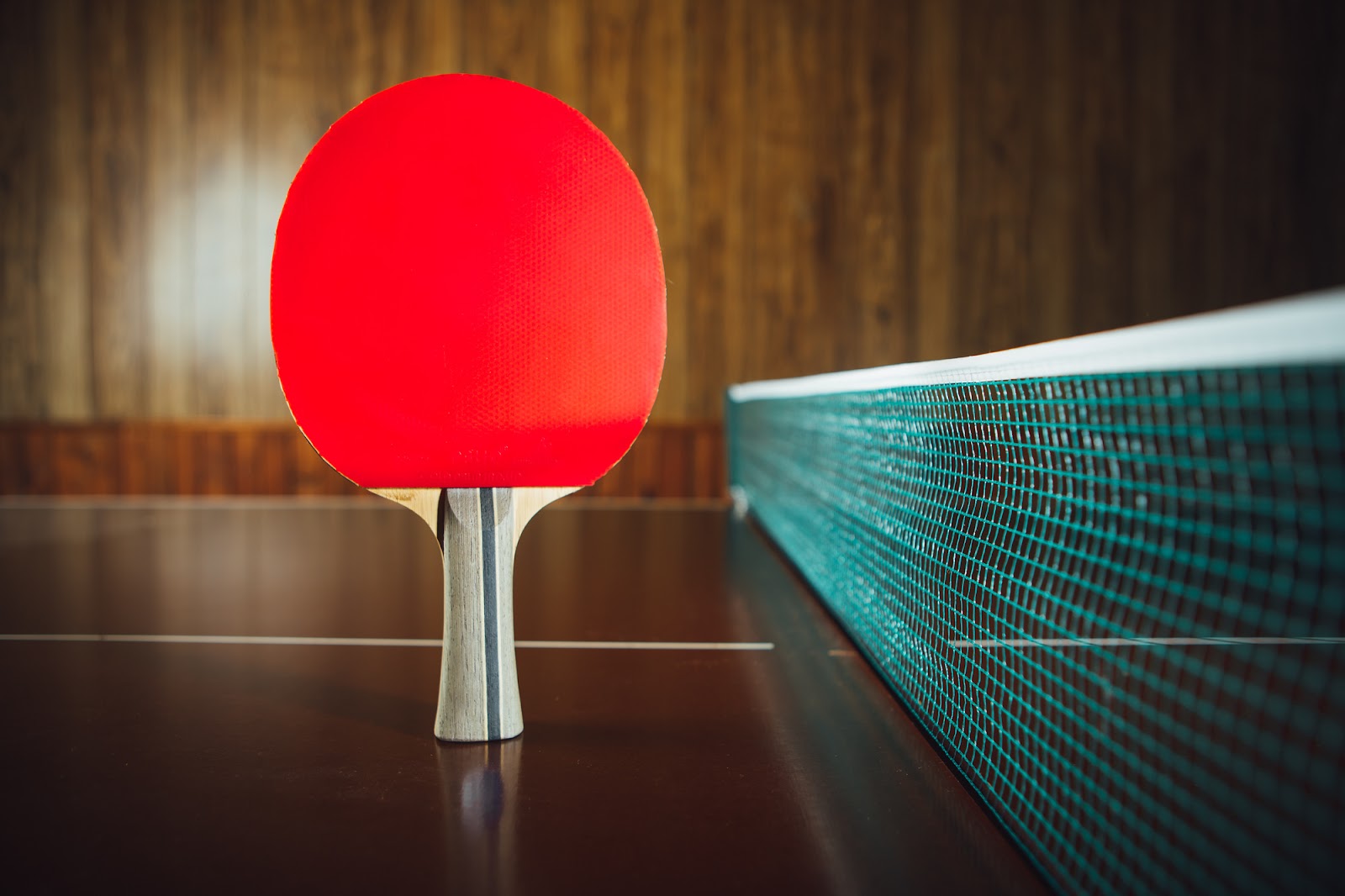 卓球 自動サーブマシン ボール回収ネット付き 練習用 マシン 一人