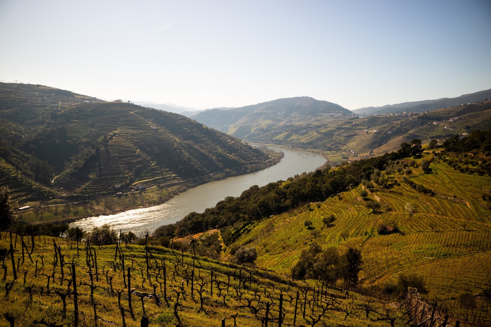 The Douro River surrounded by vibrant green vineyards and terraced landscapes.
