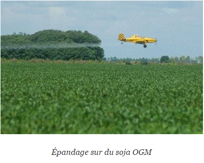 Capture OGM.GIF