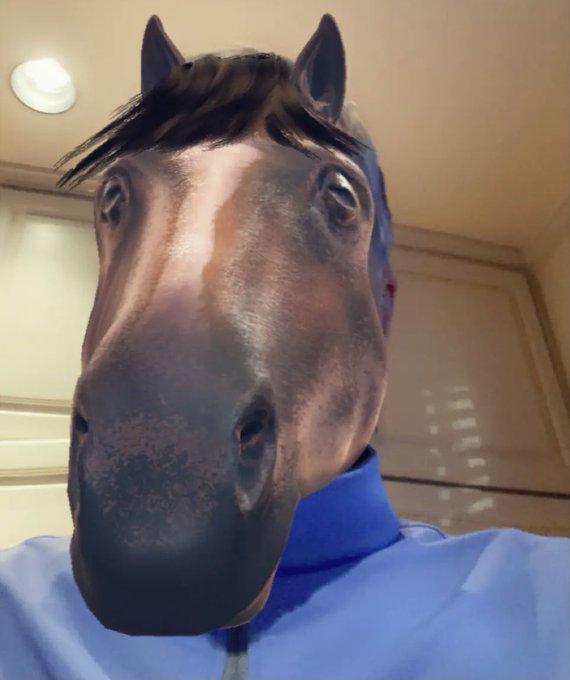 Tiktok Horse Filter: #funny challenge that has taken over Tiktok