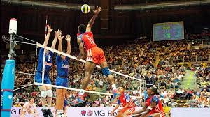 Image result for volleyball