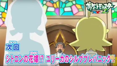 Pokemon Xy 21 Raw