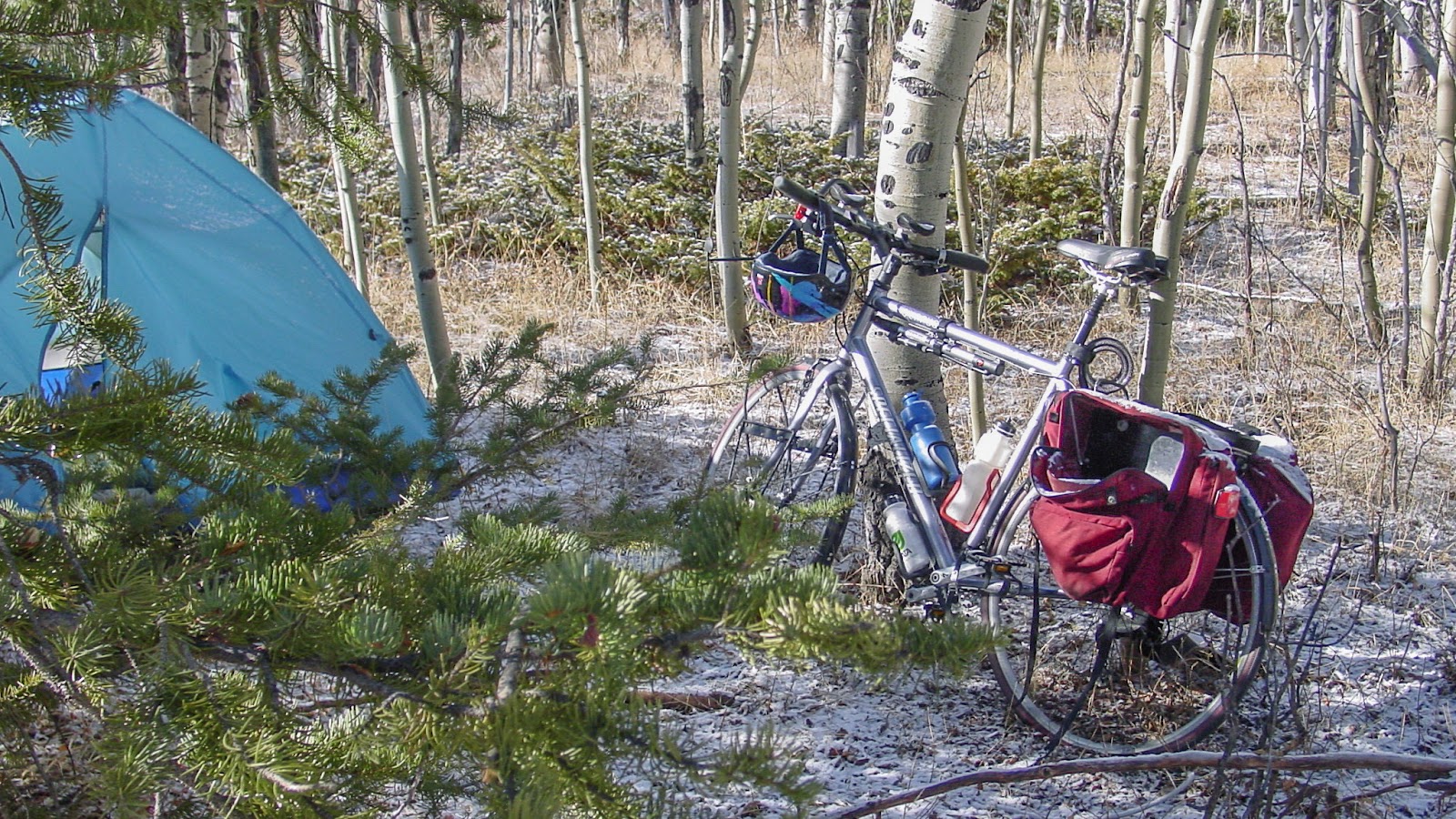 Bicycle and tent in Aspen forest