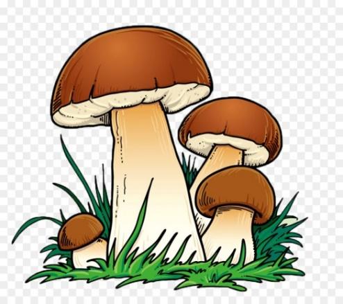 https://img2.freepng.ru/20180316/uzw/kisspng-mushroom-cartoon-mushroom-lovely-cartoon-color-5aabd4e6af5400.0628545215212105987182.jpg