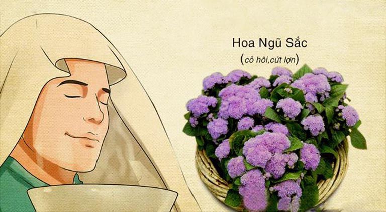 TOP 15 cách trị viêm xoang tại nhà hiệu quả nhất hiện nay 20 Cách trị viêm xoang tại nhà bằng hoa ngũ sắc cũng đem lại hiệu quả tốt