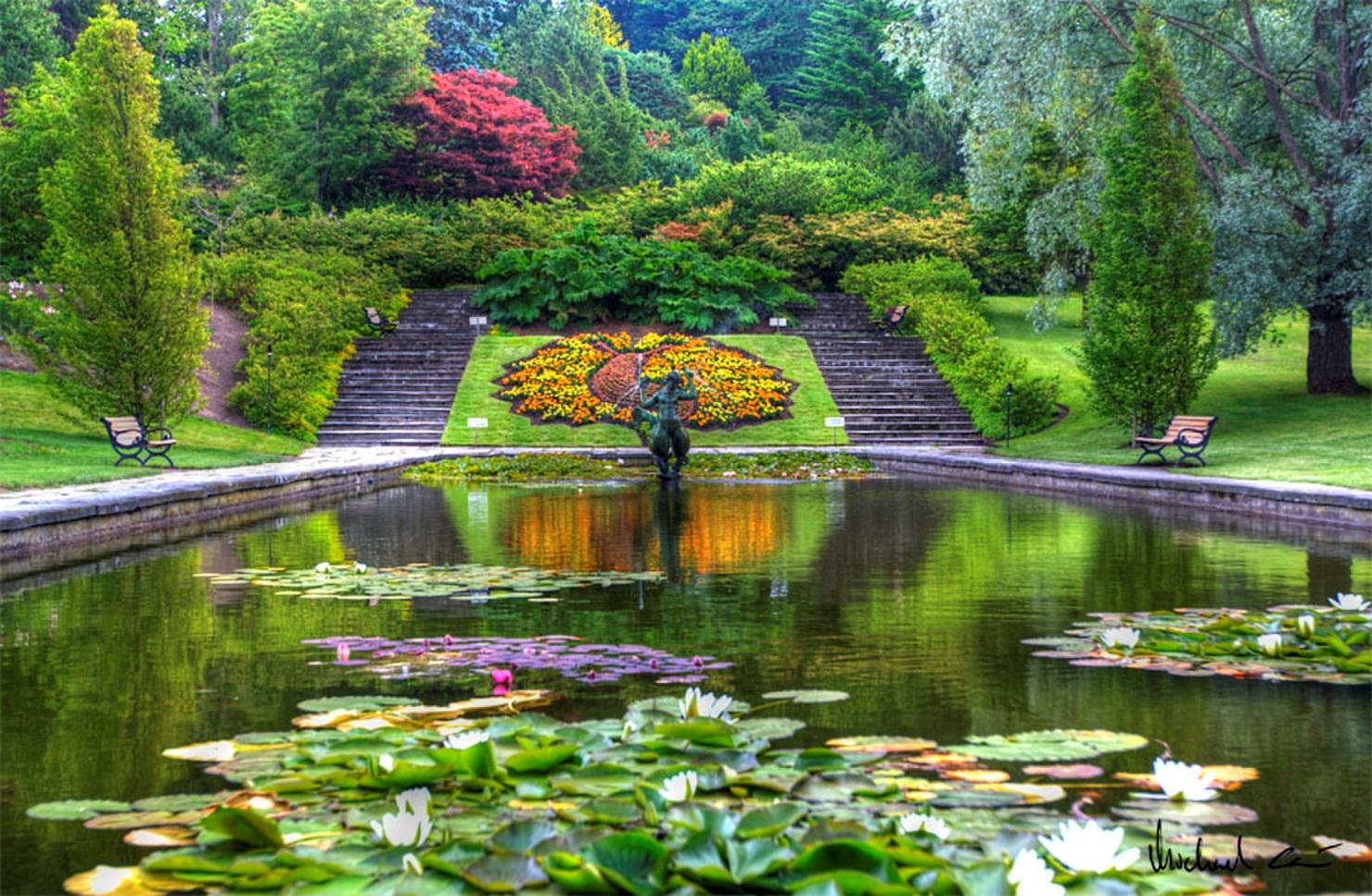 Gothenburg Botanical Garden: Get Amazed by Plant Species From Around the  World (Sweden)