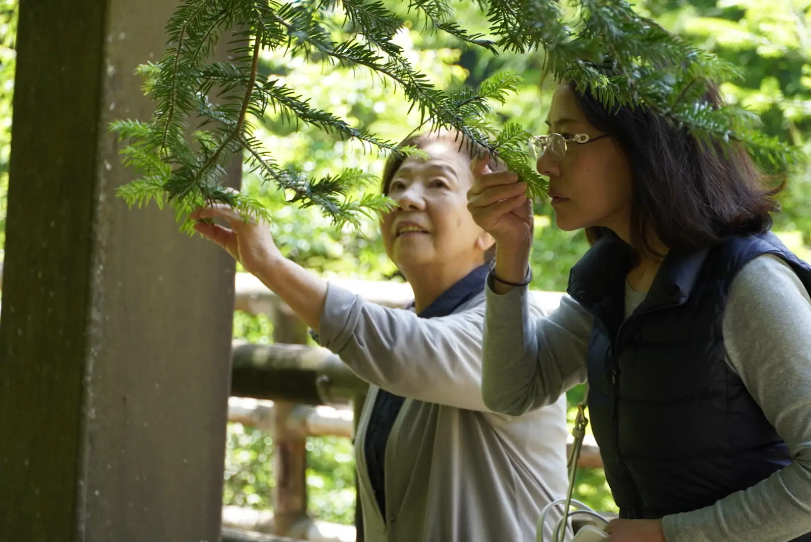 木の香りを嗅ぐ女性