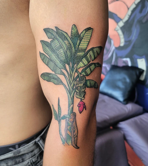 Banana Tree Tattoo