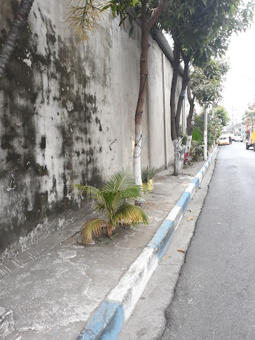 SASTRERIA CHANGO - Guayaquil