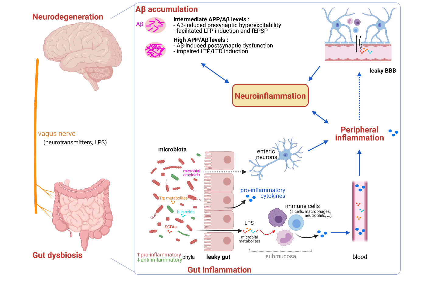 C:\Users\nrolhion\Documents\St Antoine\papers\en cours\2020 09 revue Diane Slavica\review proof Alz fig 2.png