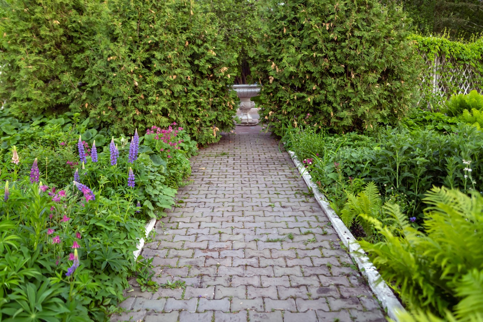 bordures de jardins avec vivaces