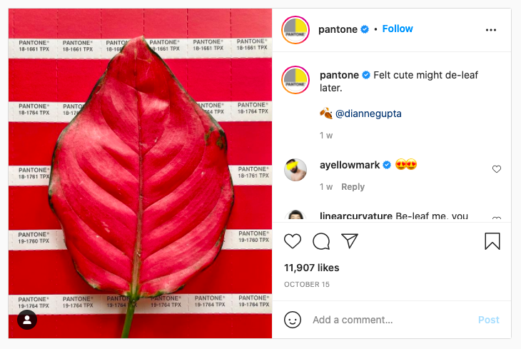 A screenshot of an Instagram post by pantone that shows a good example of how to write engaging copy for social media