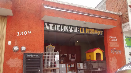 Veterinaria El Perro Negro
