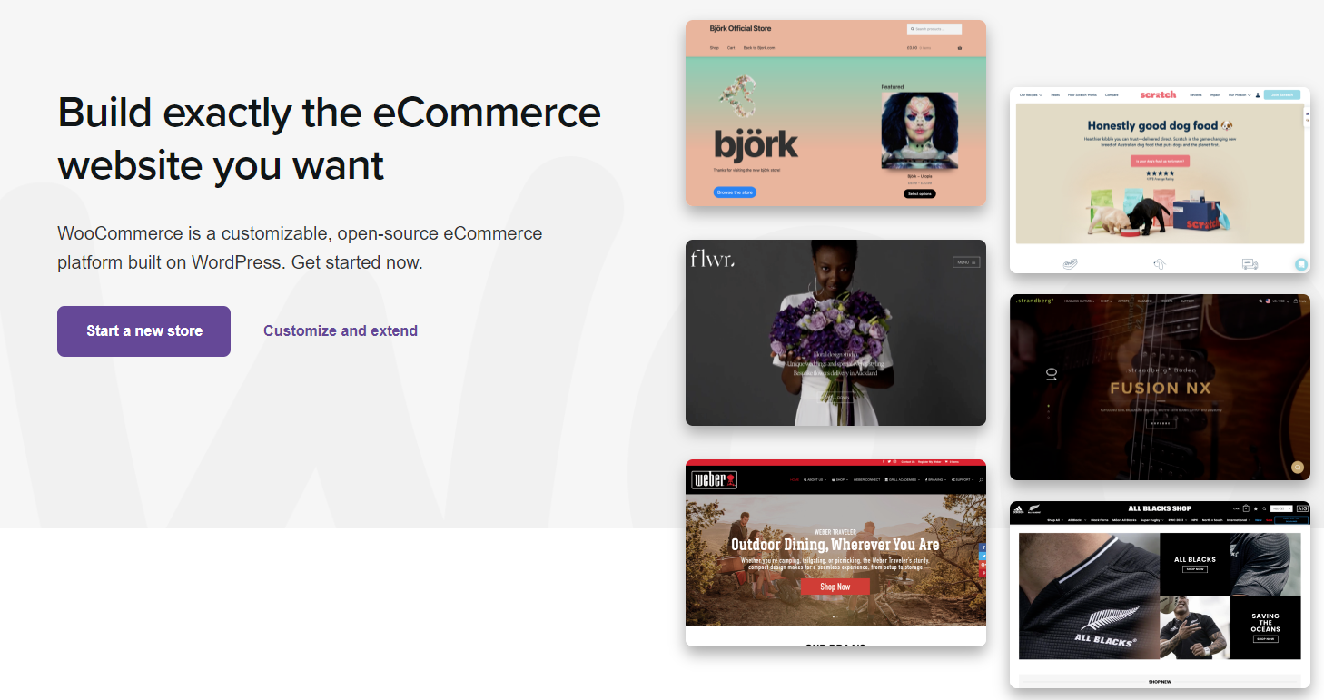 Best Website Builders For Small Businesses Online Stores