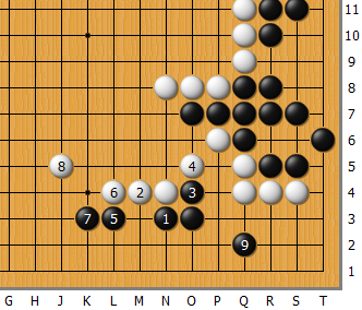 Fan_AlphaGo_02_G.png