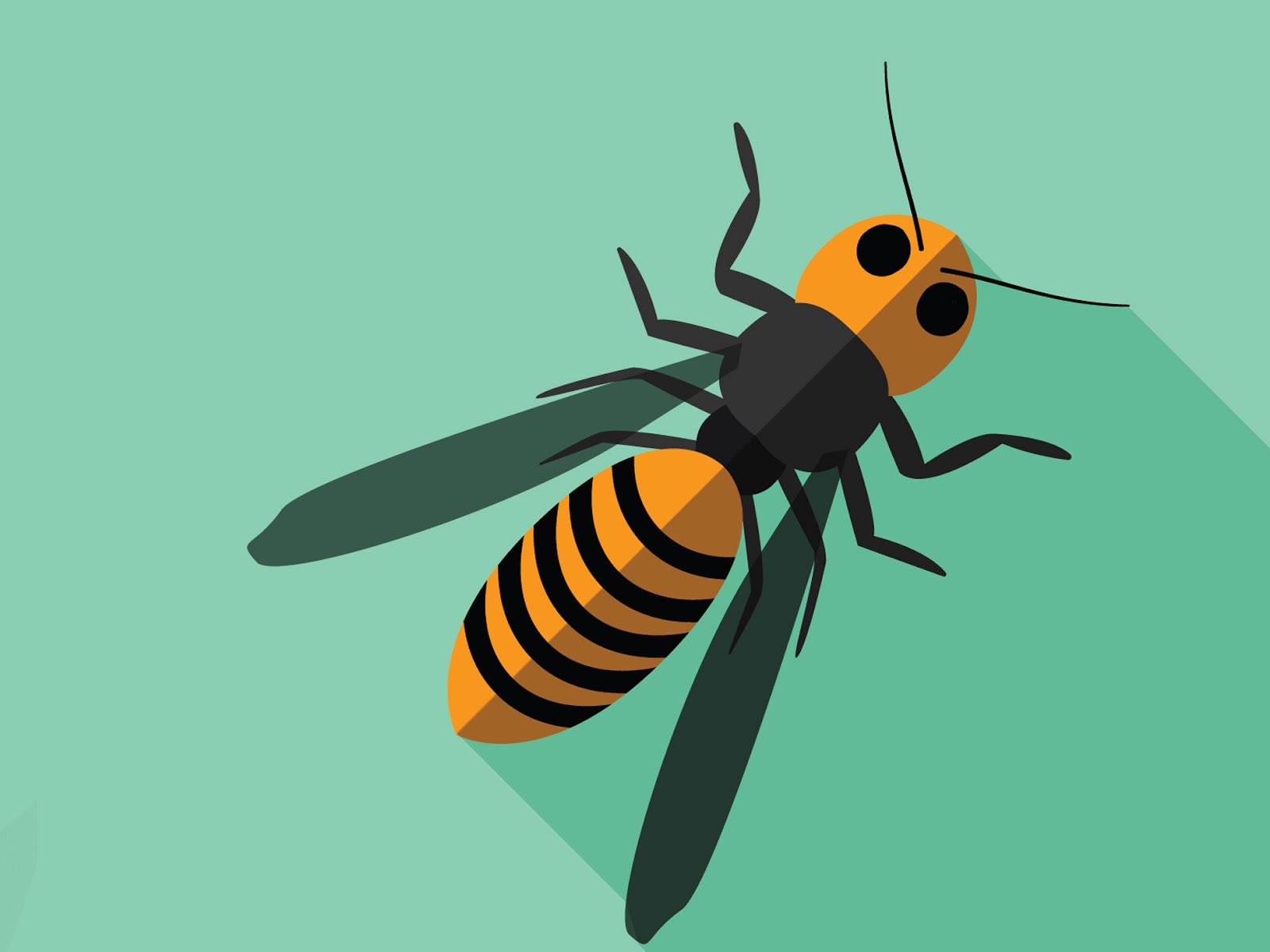 Illustration of a hornet