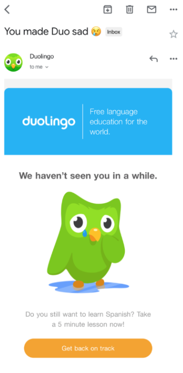 Duolingo Email