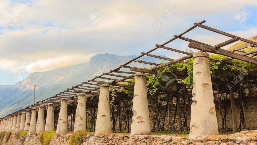 F:\87237655-pylons-stone-and-lime-columns-and-chestnut-poles-support-the-pergola-of-rows-of-grapes.jpg