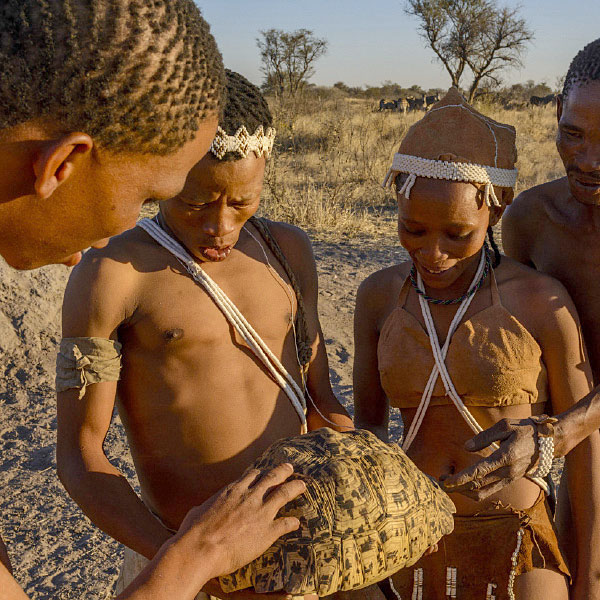 San group with tortoise