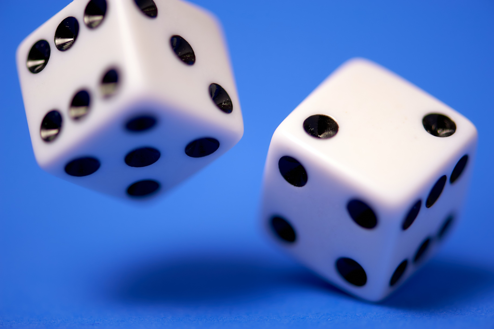 Rolling the Dice in Business
