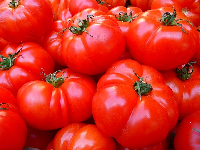 tomato vegetables names in hindi
