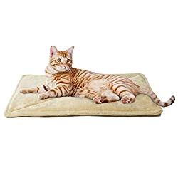 best non--electric cat heating pad