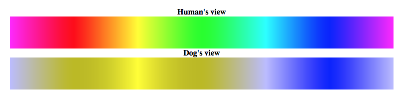 dog vision color spectrum  