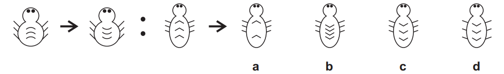 11+ non verbal reasoning example