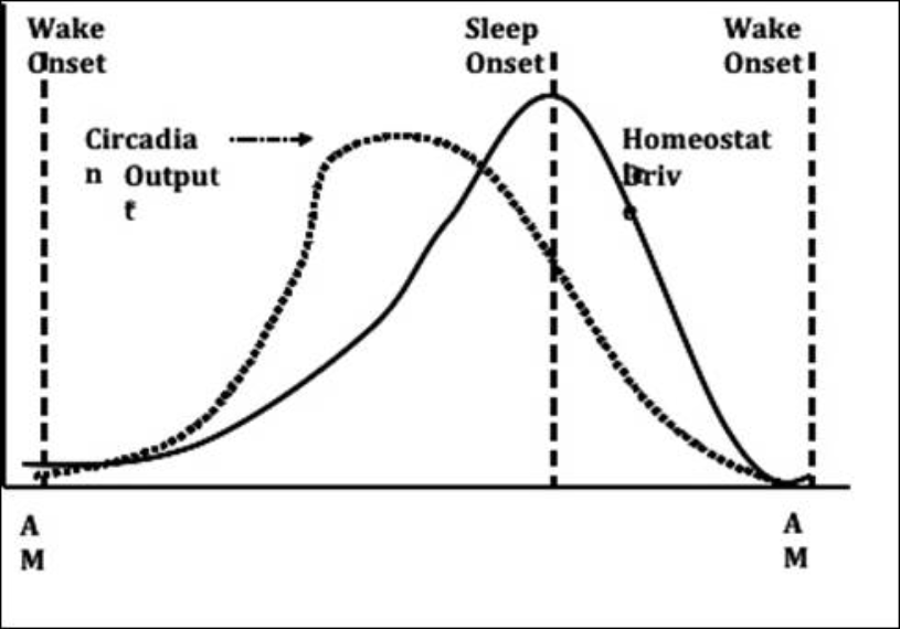 view paradox of