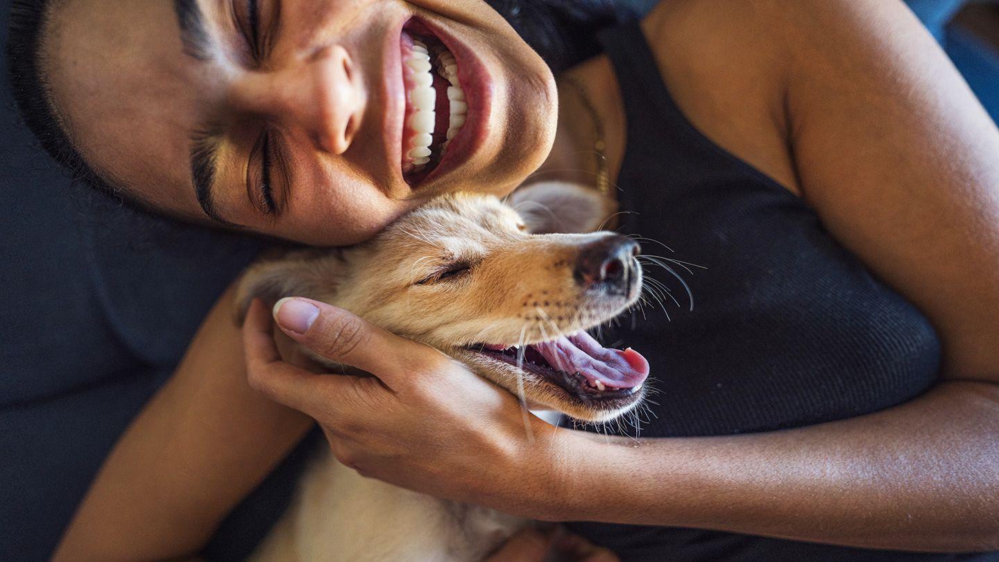 6 Potential Health Benefits of Owning a Pet