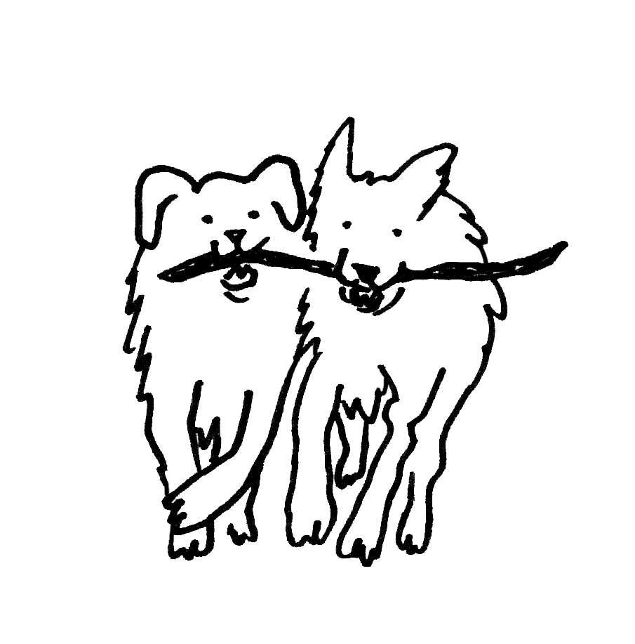A drawing of two dogs holding the same stick. 