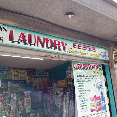 Opiniones de Laundry Lavandería en Quito - Lavandería