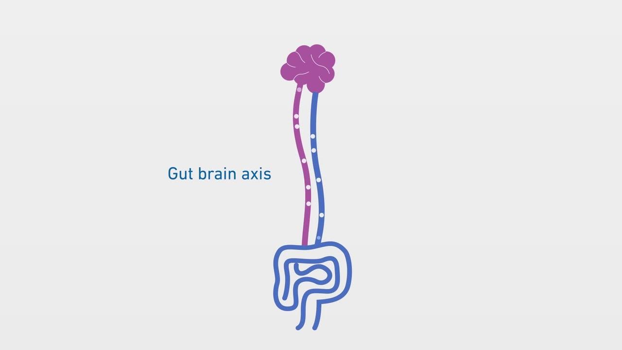 What is the gut-brain axis - YouTube