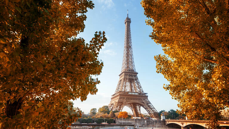 The Eiffel Tower framed by fall color