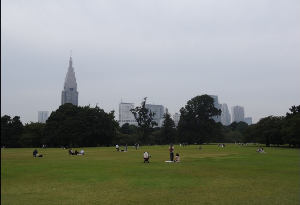 Visiting the Garden of Words in Shinjuku Gyoen - The green area with the NTT Docomo Yoyogi Building