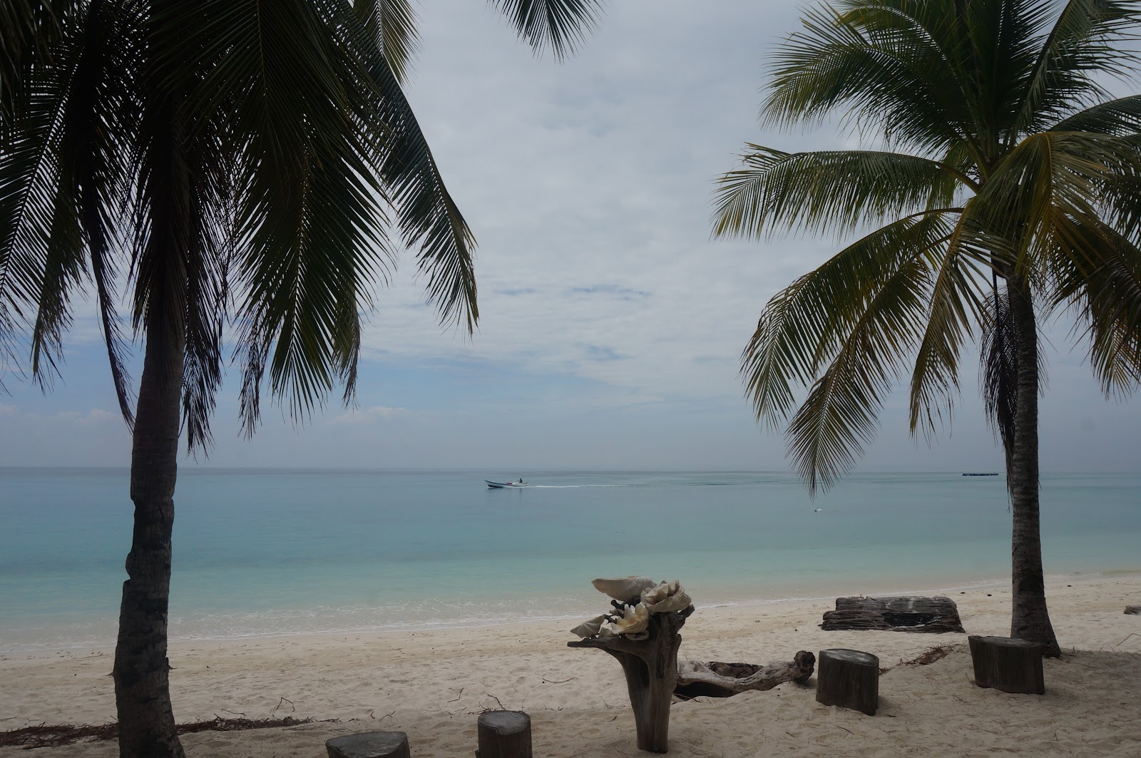 DSC08517.JPG
