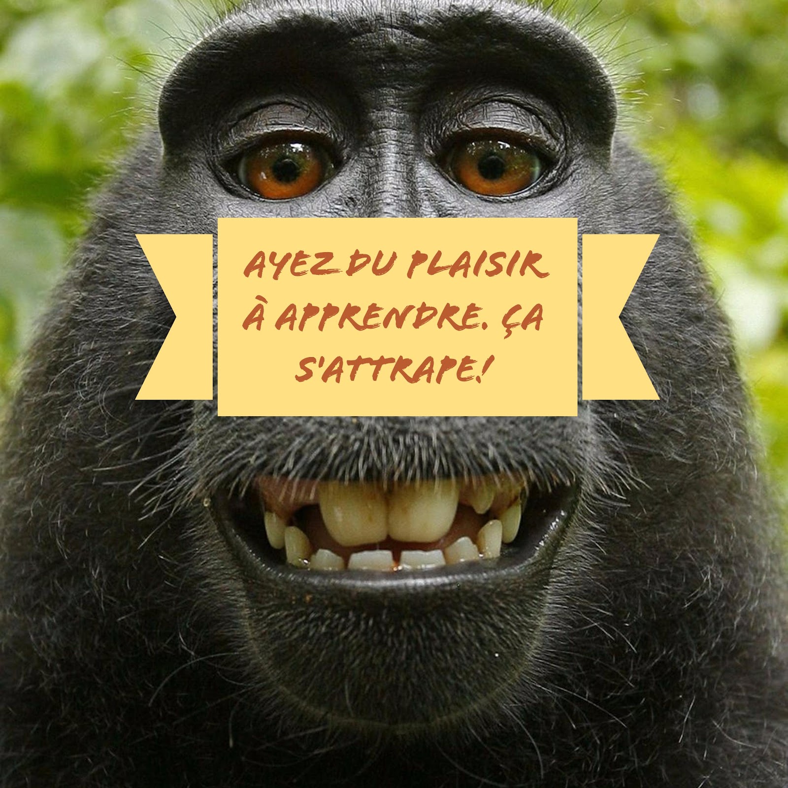 Ayez du plaisir.jpg