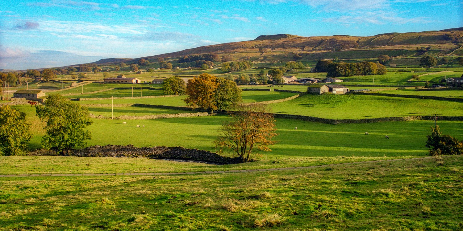 rural landscape with green fields and dry-stone walls