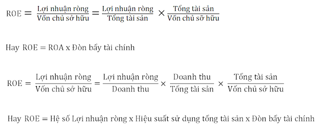 mô hình Dupont